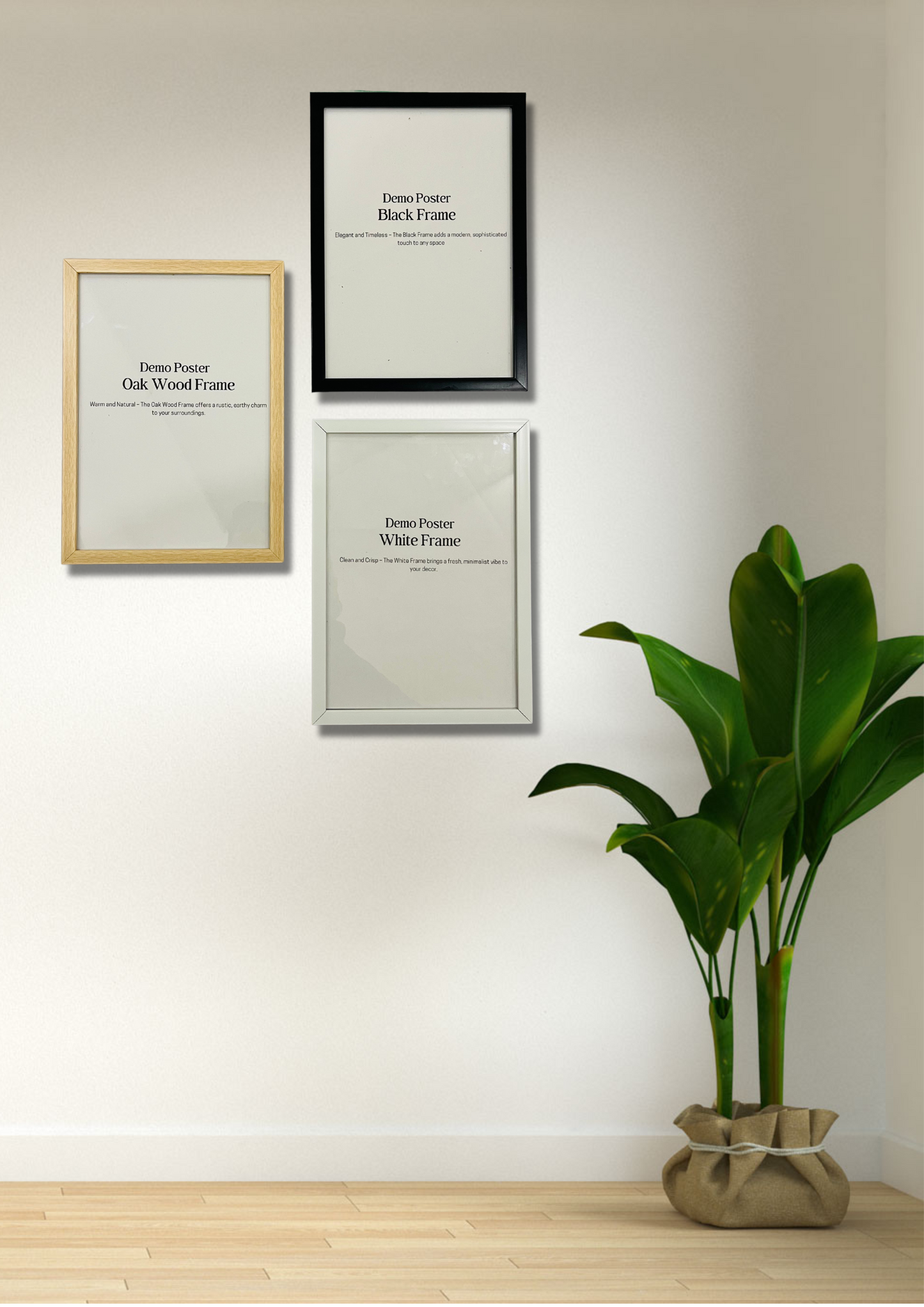 a potted plant sitting next to two framed pictures